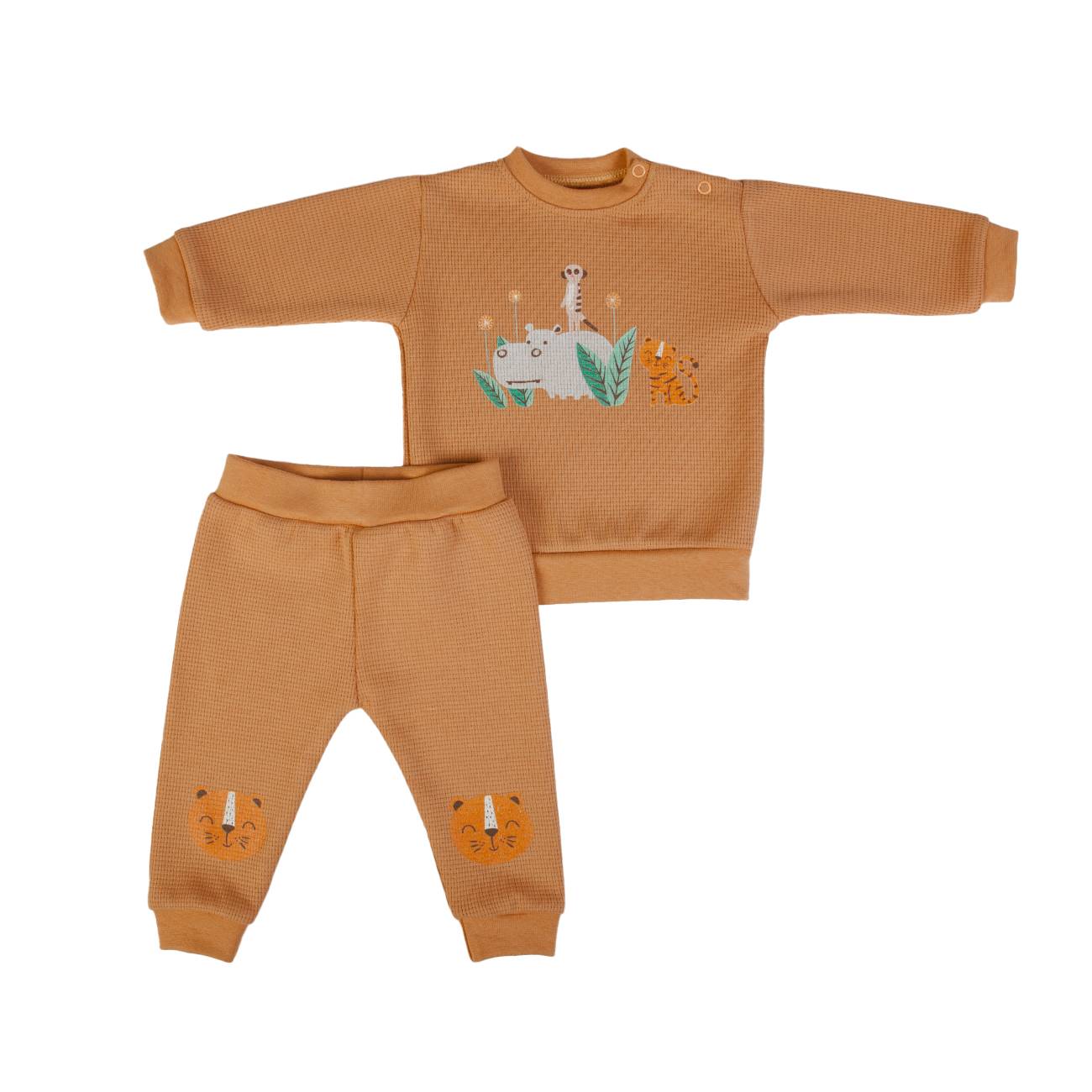 Wild Life Jogging Suit