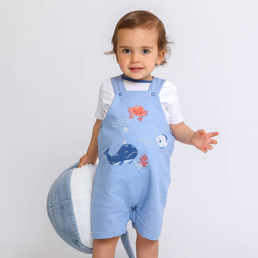 Baby Linen Dungarees and T-Shirt