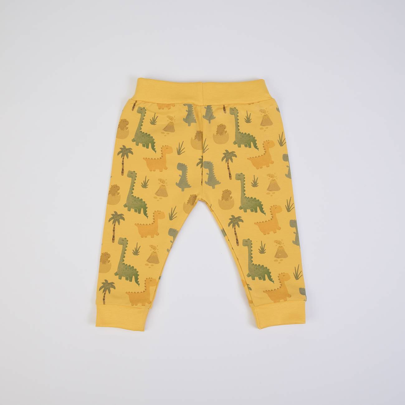 Dino Jogging Set