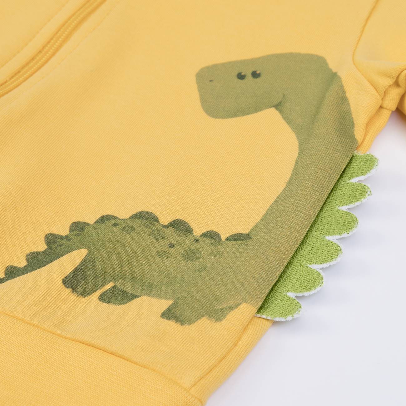 Dino Zip Up