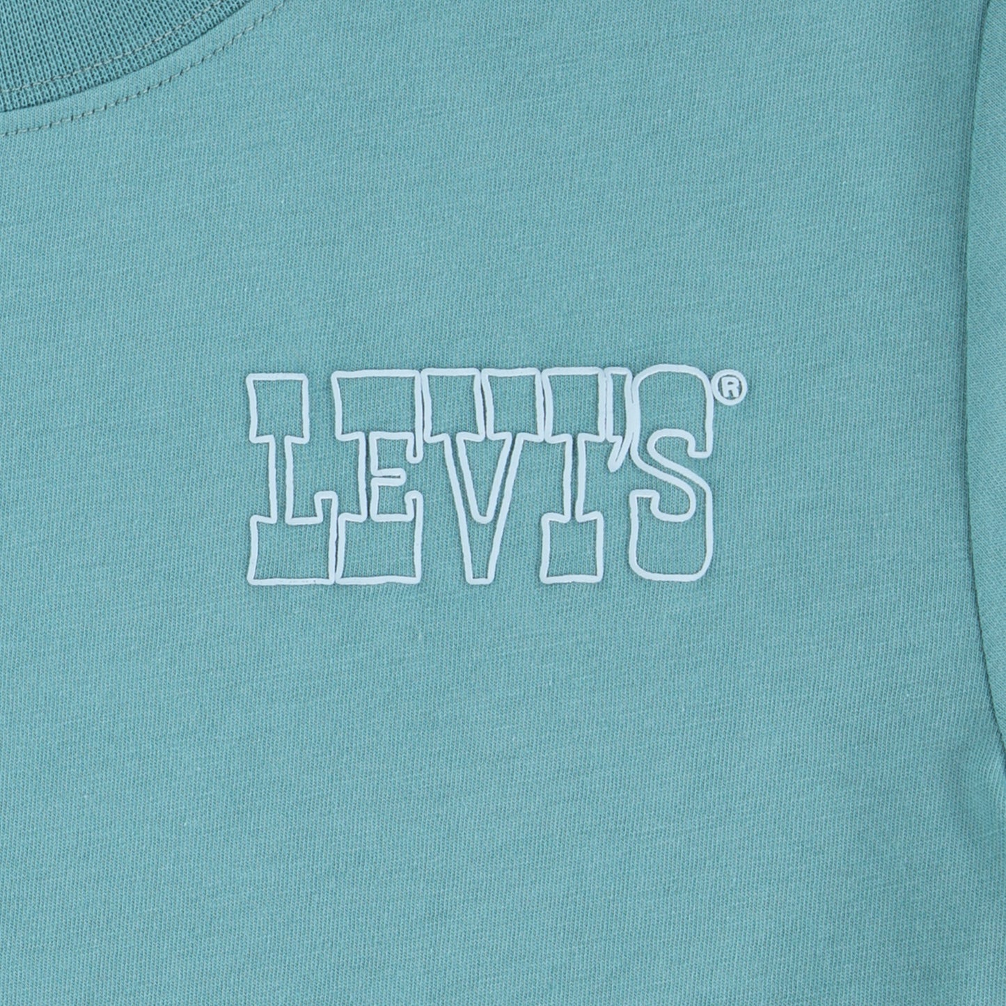 Levis T shirt