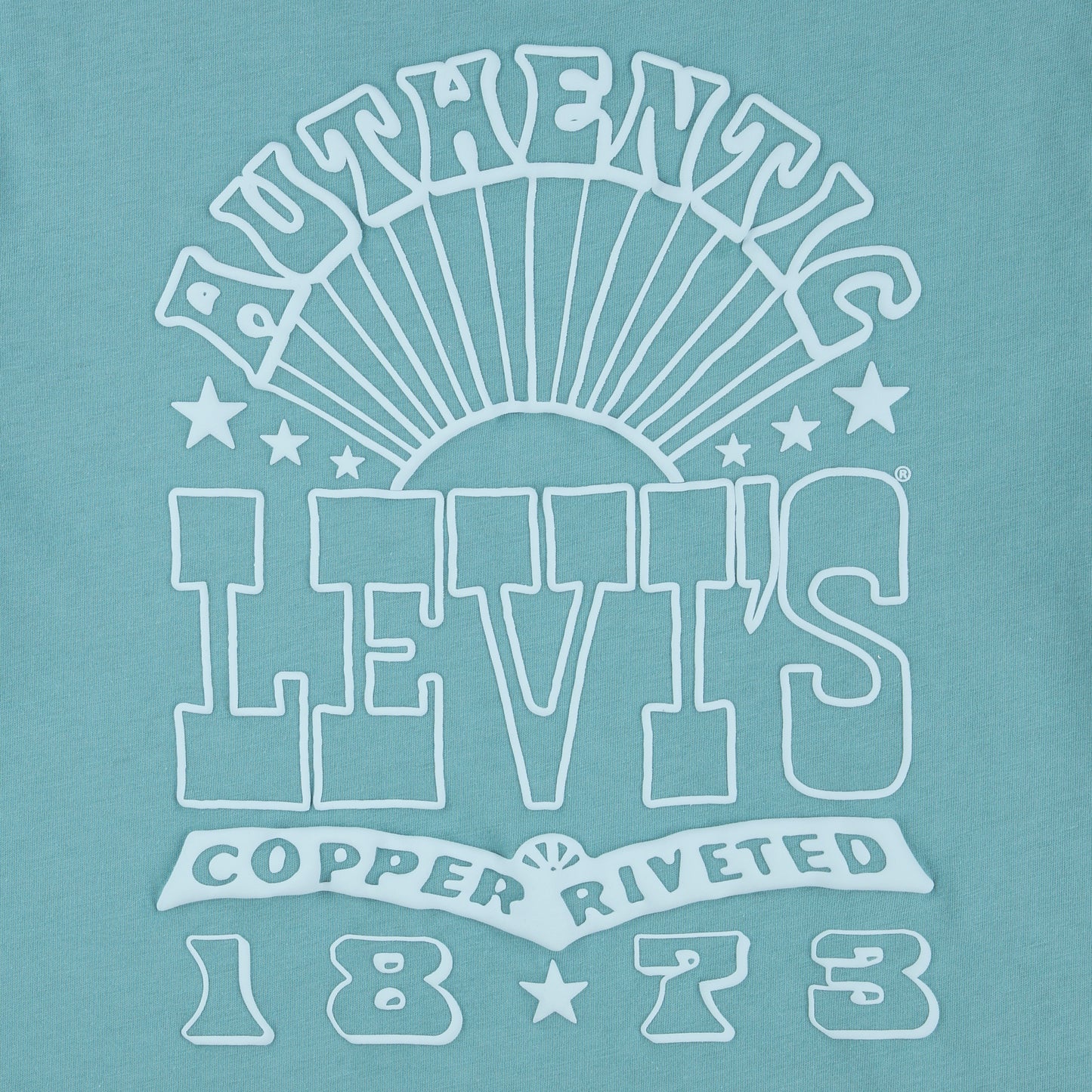 Levis T shirt