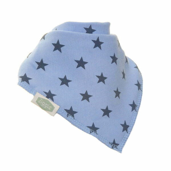 Dino and Stars Bib Set