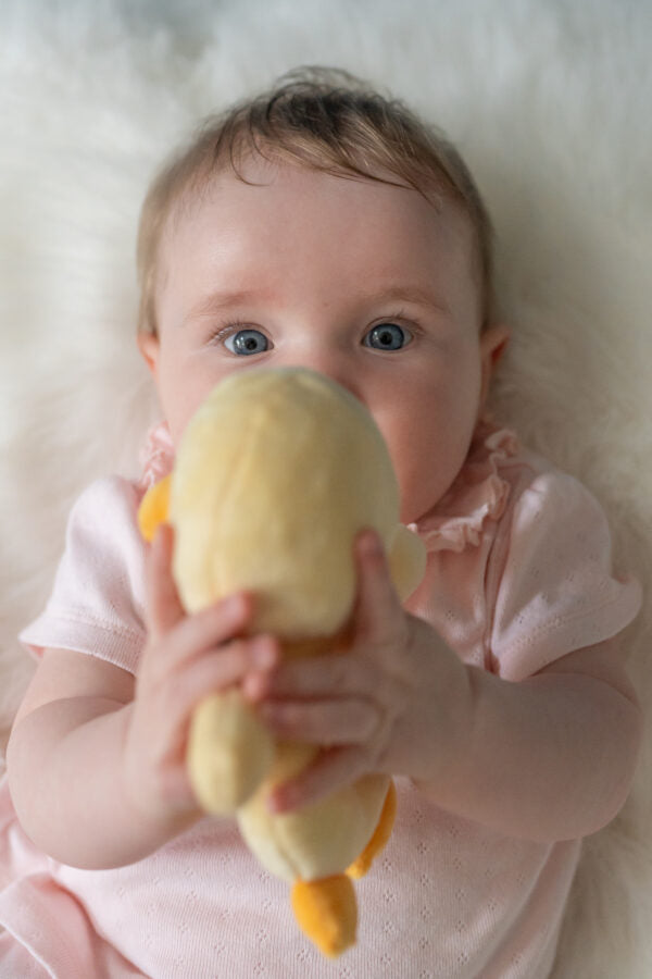 Duck Plush Baby Rattle