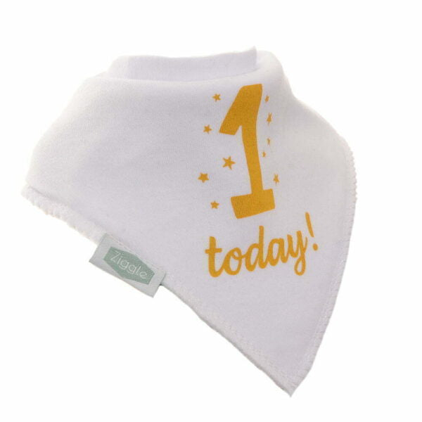 1 Today Bib