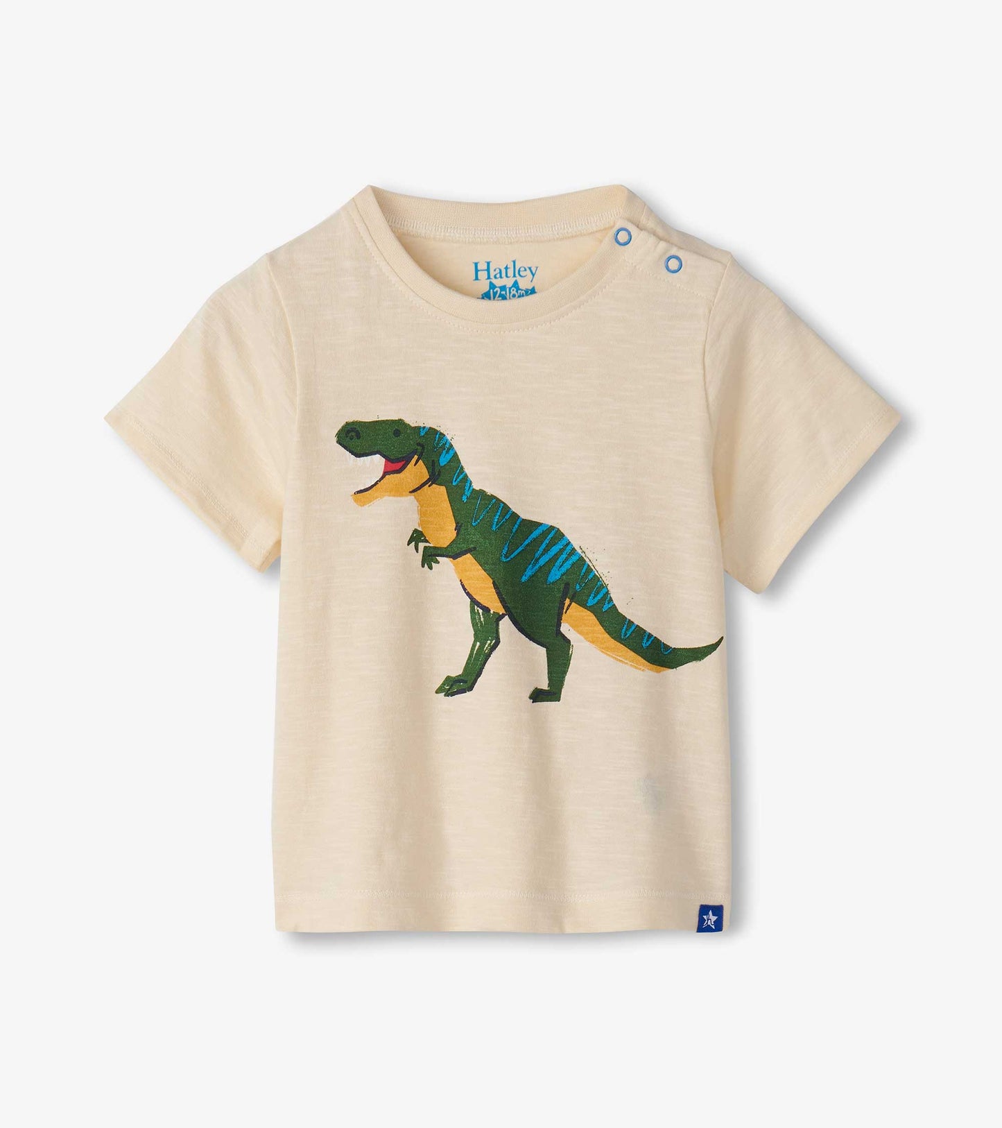 Dinosaur T Shirt